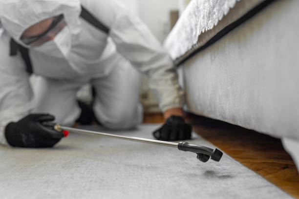 Professional Bed Bug Control technician working in Schleicher County County, TX
